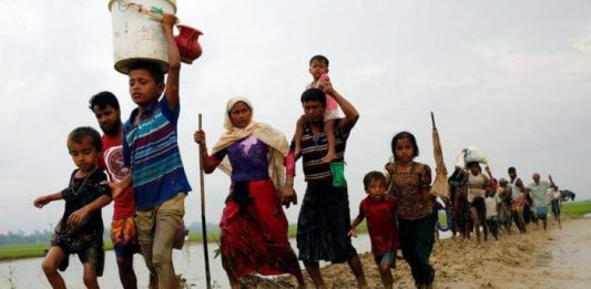 Rohingya