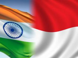 India-Indonesia-Bilateral-Summit