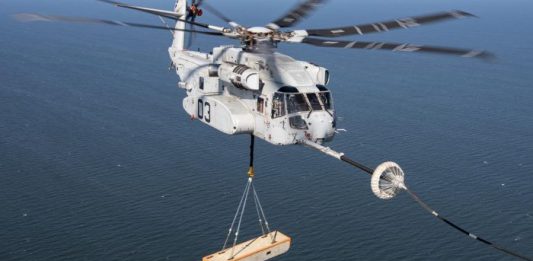 Chinook-Stallion