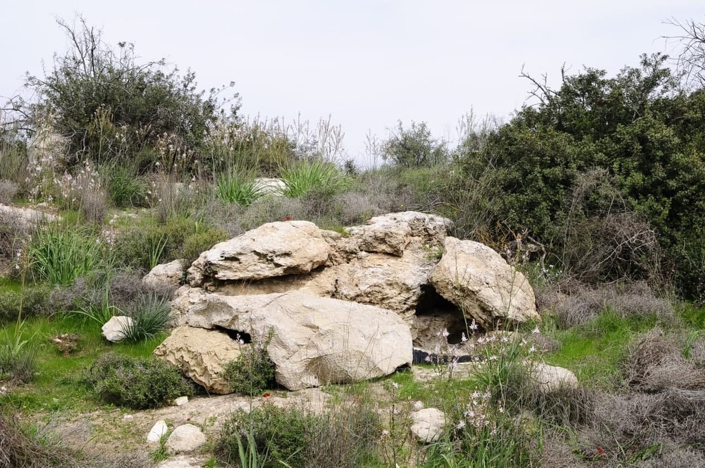 Invisible Soldiers: New Camouflage Sheet Provides Israeli Soldiers With ...