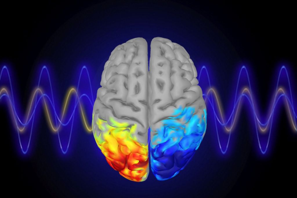 brain waves