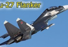 Russia’s Su-27 ‘Flanker’ Stunned Everyone With Cobra Maneuver On This Day — But It Has a Surprising Swedish Origin SU-27
