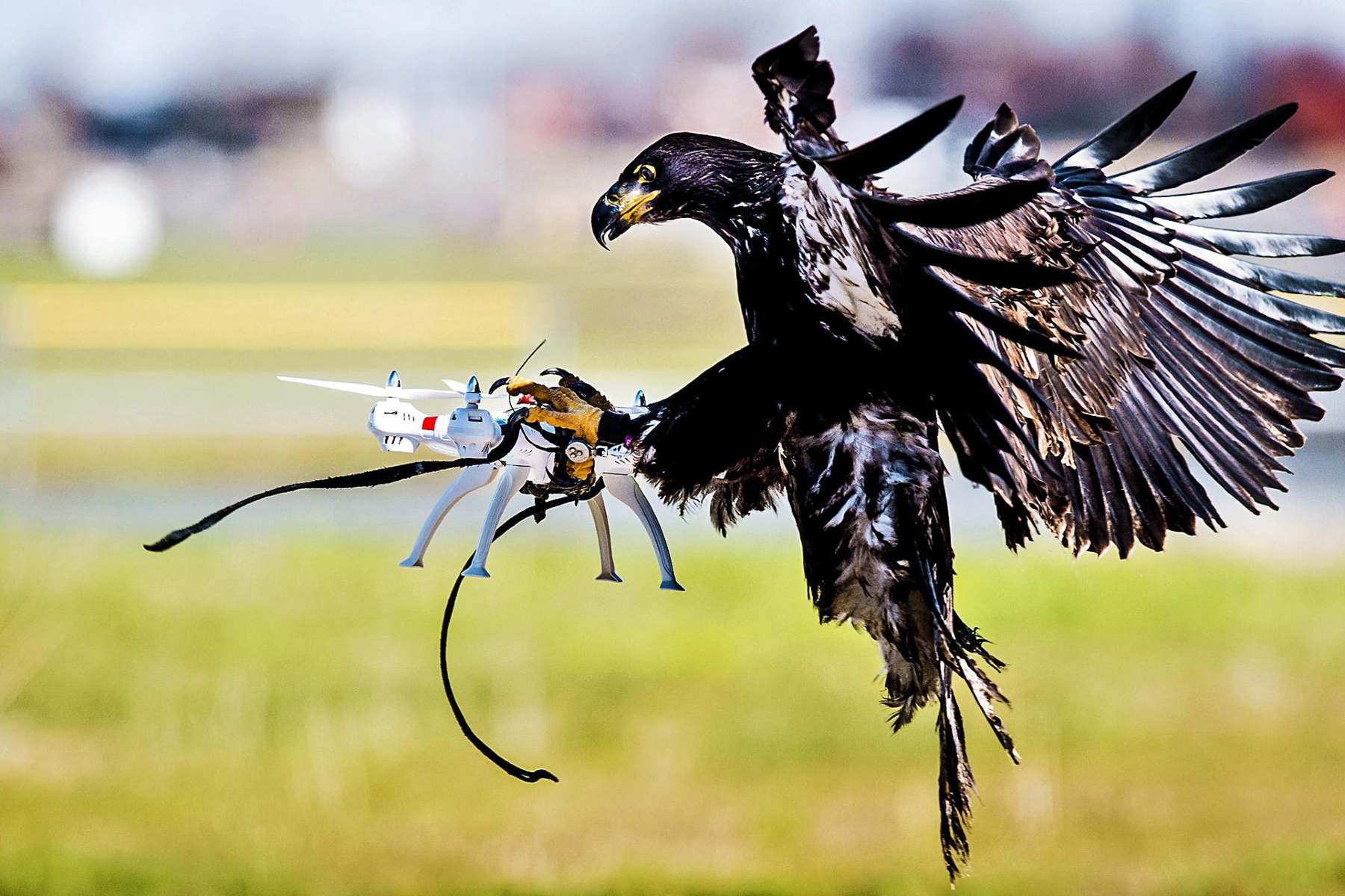 From Kites To Tennis Balls — Indians Find News Ways To Fight UAVs; Can Russia, Ukraine Take Lessons?
