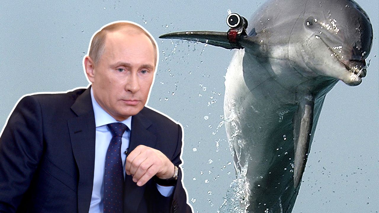 Putin-Whale