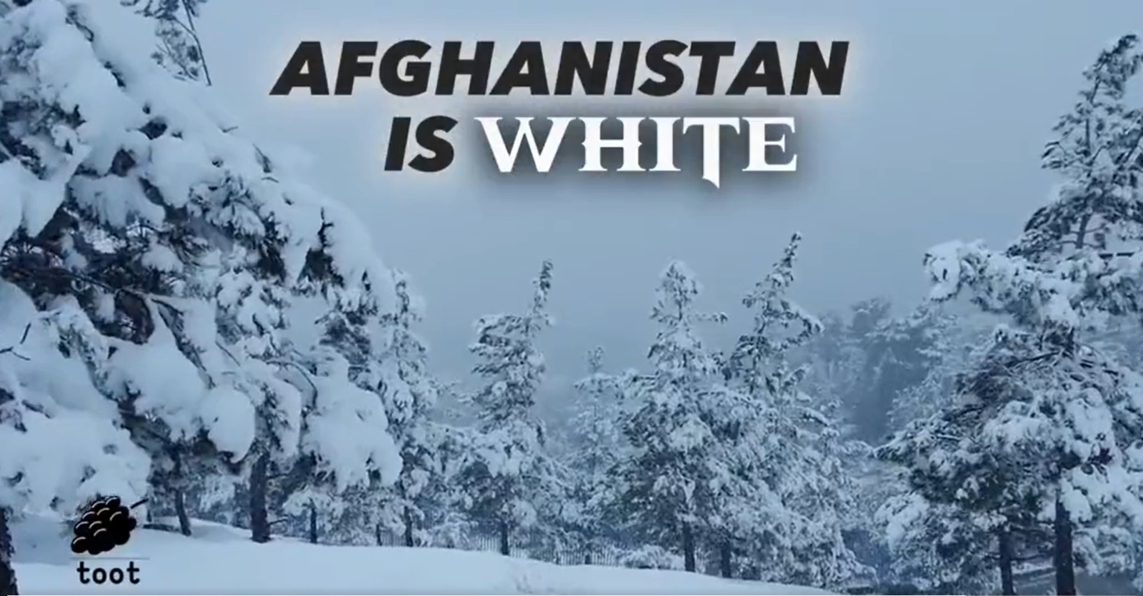 Days After Promoting Afghan Tourism, Taliban Detains US Women For ‘Spreading Christianity’