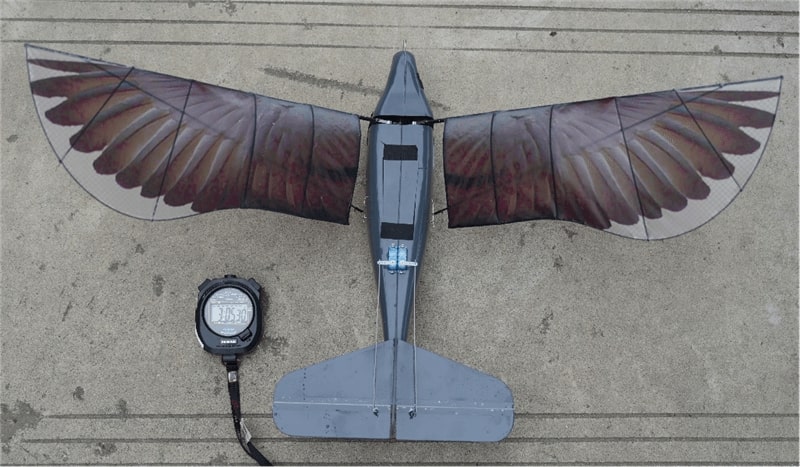 world-record-china-flies-revolutionary-flapping-wing-drone-that-replicates-a-birds-flying-mechanism