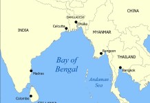 Much Sought In India, Bangladesh Deploys Warships, Patrol Aircraft To Protect Its Prized Hilsa Fish