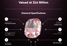 Dubai Police Foil $25 Million Pink Diamond Heist; Recover Stolen Jewel, Apprehend Criminals Within 8 Hours